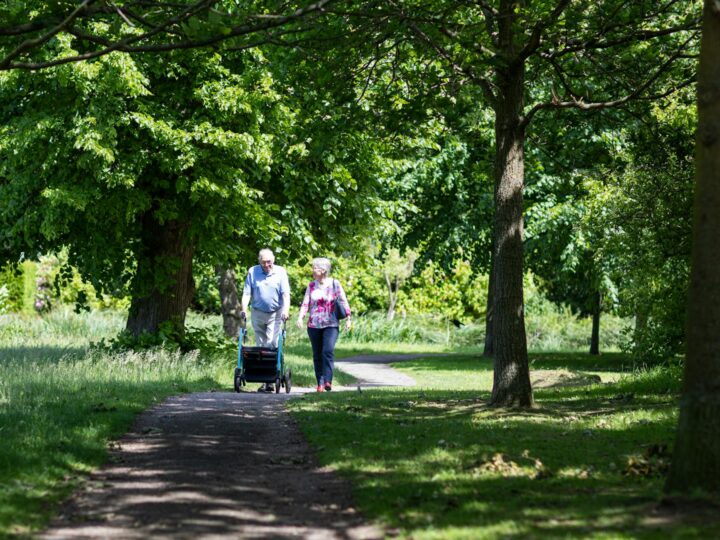 Clbucet Park
